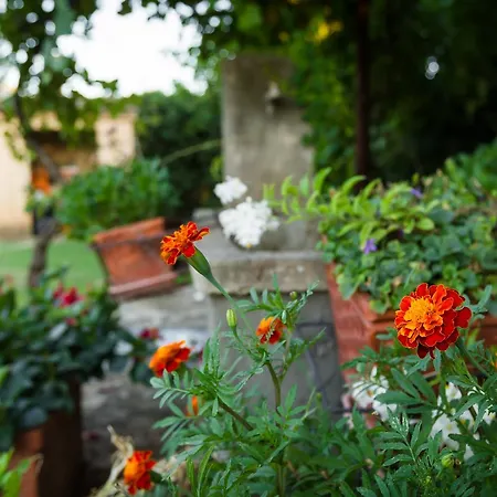 לינה וארוחת בוקר Antica Pinciana Agriturismo קפאלביו