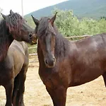 Antica Pinciana Capalbio